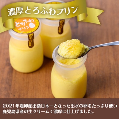 出水たまごのたっぷり濃厚とろふわプリン(計12個)_i1128-B