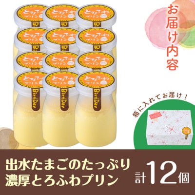 出水たまごのたっぷり濃厚とろふわプリン(計12個)_i1128-B