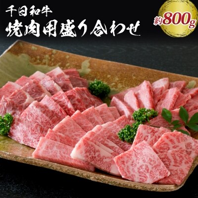 千日和牛焼肉用盛り合わせ 約800g(山形牛)　ka012-040a002