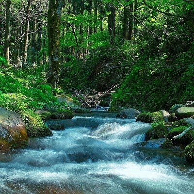 大吟醸名刀『月山丸』1800ml