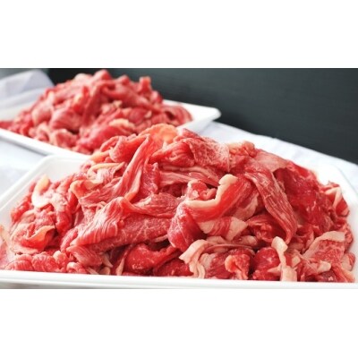 国産牛100%ハンバーグ約150g×5個と国産牛切り落とし約500g B-011