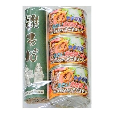 かほく冷たい肉そばC3セット ka004-017g001
