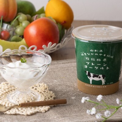 生乳にこだわった「のむヨーグルト」と「プレーンヨーグルト」セット【奥羽乳業協同組合】