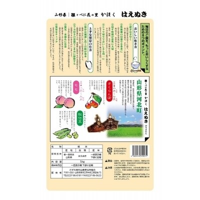 【2020年8月発送分】山形県河北町産はえぬき10kg【JAさがえ西村山】A-1372008