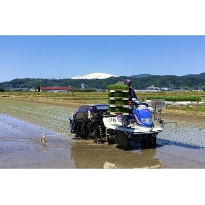 【定期便1月・2月・3月発送】2020年河北町産「はえぬき」10kg×3回 Z-005204
