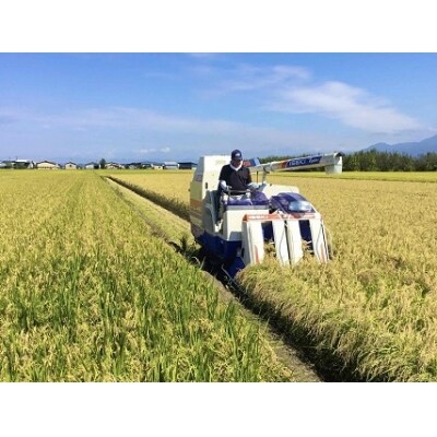 【定期便1月・2月・3月発送】2020年河北町産「はえぬき」10kg×3回 Z-005204