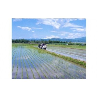【定期便3月・4月・5月発送】2020年河北町産米はえぬき(10kg×3回)Z-008203