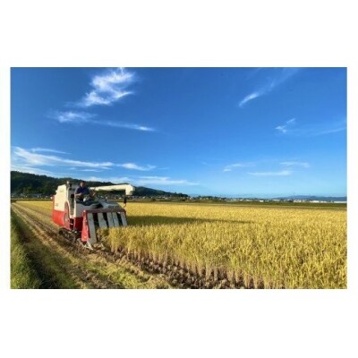 【定期便5月・6月・7月発送】2020年河北町産米はえぬき(10kg×3回)Z-008205