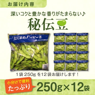 【令和8年産】枝豆「秘伝豆」3kg(12袋) 山形県河北町産【JAさがえ西村山】