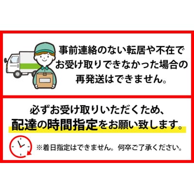 【創業136年】老舗「今田製麺」の奴そばとうどん詰合せ(乾麺)48人前(280g×各8把)