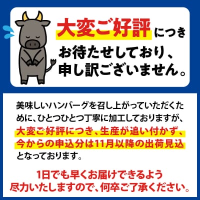 湯せんで温めるだけ!山形県産牛肉ハンバーグ1.32kg(110g×12個入り)