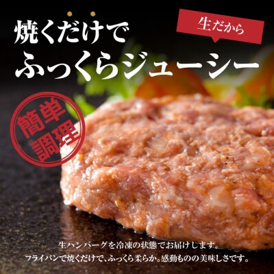 山形牛入り牛タン生ハンバーグ5個と山形牛入り国産牛と山形県産豚生ハンバーグ5個