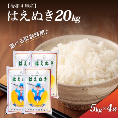 【令和4年産米】2023年8月前半発送 はえぬき20kg 一等米 山形県河北町産 【丹野商店】