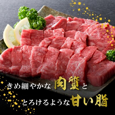 【数量限定】5等級!山形牛 やわらかモモカットステーキ 600g