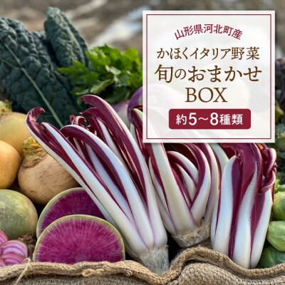 かほくイタリア野菜 旬のおまかせBOX(5～8種類)