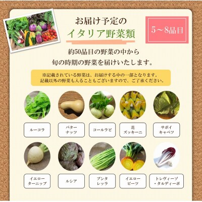 かほくイタリア野菜 旬のおまかせBOX(5～8種類)
