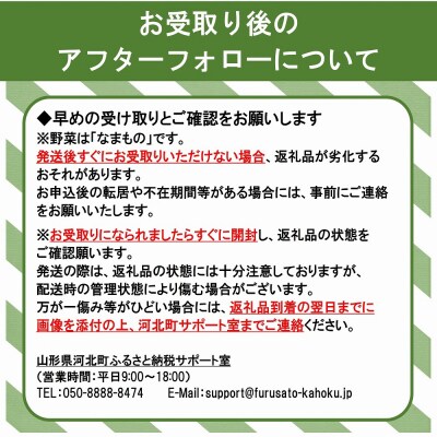 かほくイタリア野菜 旬のおまかせBOX(5～8種類)