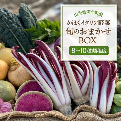 かほくイタリア野菜 旬のおまかせBOX(8～10種類)