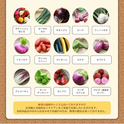 かほくイタリア野菜 旬のおまかせBOX(8～10種類)