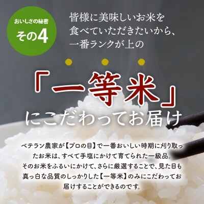 【令和3年12月中旬開始コース】無洗米はえぬき60kg定期便 一等米 山形県産【JAさがえ西村山】