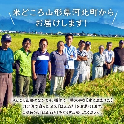 ★先行受付★令和4年産【11月上旬開始コース】はえぬき計60kg定期便 山形県産【米comeかほく】