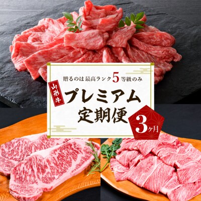 【数量限定】山形牛 高級 プレミアム3ヶ月定期便　～贈るのは【高級ランク】5等級のみ!～