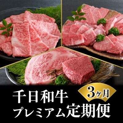 【数量限定】★肉の至宝★ 山形牛【千日和牛】旨味とろける極撰和牛3ヶ月定期便
