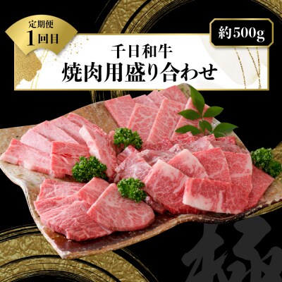 【数量限定】★肉の至宝★ 山形牛【千日和牛】旨味とろける極撰和牛3ヶ月定期便