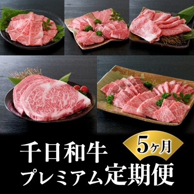 【数量限定】★肉の至宝★ 山形牛【千日和牛】旨味とろける極撰和牛5ヶ月定期便