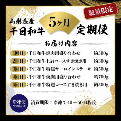【数量限定】★肉の至宝★ 山形牛【千日和牛】旨味とろける極撰和牛5ヶ月定期便