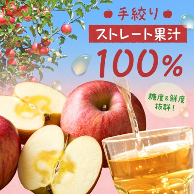 【保存料不使用・無水】手絞りりんごジュース(1L×3本)セット