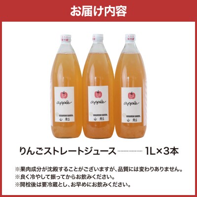 【保存料不使用・無水】手絞りりんごジュース(1L×3本)セット