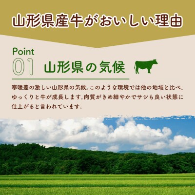 【3ヶ月定期便】毎月お届け!湯せんで温めるだけ! 山形県産 牛肉ハンバーグ 12個×3回