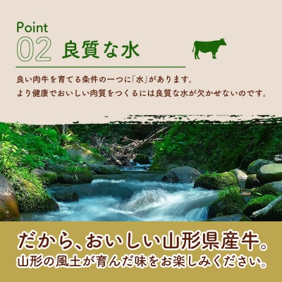 【3ヶ月定期便】毎月お届け!湯せんで温めるだけ! 山形県産 牛肉ハンバーグ 12個×3回