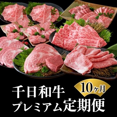【数量限定】★肉の至宝★ 山形牛【千日和牛】旨味とろける極撰和牛10ヶ月定期便
