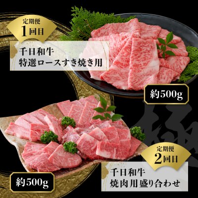 【数量限定】★肉の至宝★ 山形牛【千日和牛】旨味とろける極撰和牛10ヶ月定期便