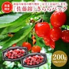 【令和8年産】ハウスさくらんぼ「佐藤錦」きららパック200g(100g×2) 山形県河北町産