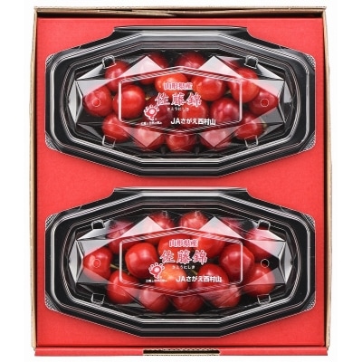 【令和8年産】ハウスさくらんぼ「佐藤錦」きららパック200g(100g×2) 山形県河北町産