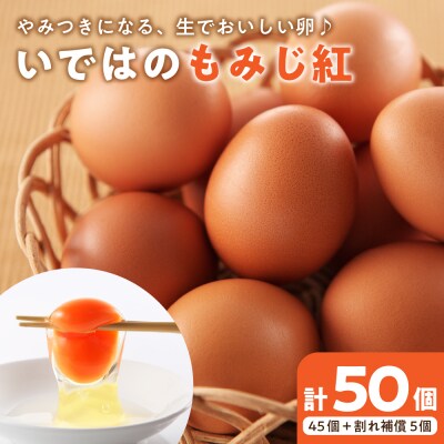 たまご 50個 入り(破損補償5個を含む)新鮮うみたて 卵【いではのもみじ紅 】