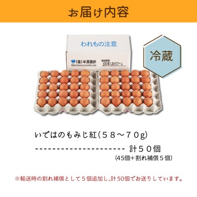 たまご 50個 入り(破損補償5個を含む)新鮮うみたて 卵【いではのもみじ紅 】