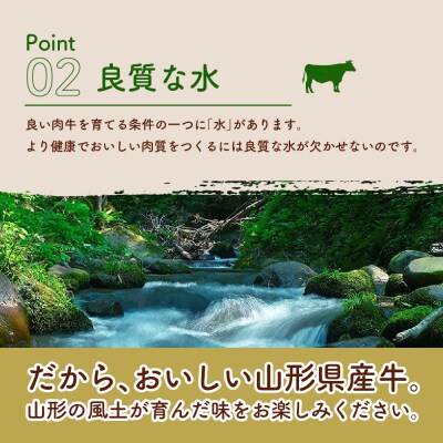 【3ヶ月定期便】毎月24個お届け!湯せんで温めるだけ!山形県産牛肉ハンバーグ 2.64kg×3回