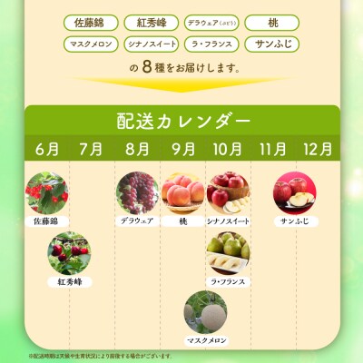 ※2023年発送※【令和5年産】山形県産 8種類 旬のフルーツ定期便(計8回) さくらんぼ ぶどう等