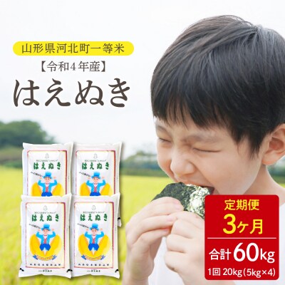 2023年6月後半スタート【令和4年産】はえぬき60kg定期便  一等米 山形県産【丹野商店】