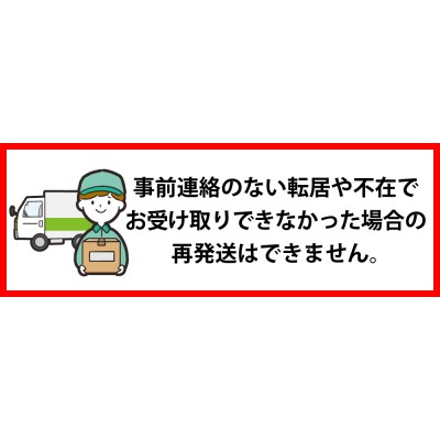 【Mサイズ・ホワイト】湯上りスリッパ 1足【数量限定】