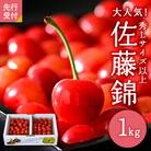 【令和8年産】さくらんぼ「佐藤錦」秀L以上1kgバラ詰 (500g×2パック)【JAさがえ西村山】 