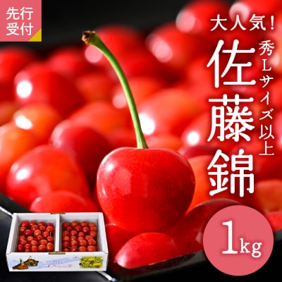【令和8年産】さくらんぼ「佐藤錦」秀L以上1kgバラ詰 (500g×2パック)【JAさがえ西村山】 