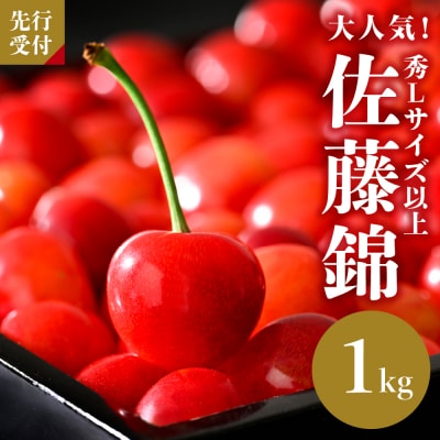 【令和8年産】さくらんぼ「佐藤錦」秀L以上1kgバラ詰 (500g×2パック)【JAさがえ西村山】 