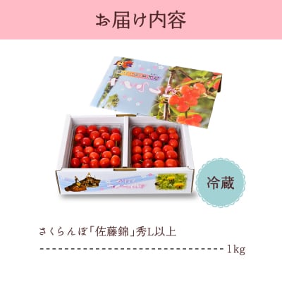 【令和8年産】さくらんぼ「佐藤錦」秀L以上1kgバラ詰 (500g×2パック)【JAさがえ西村山】 