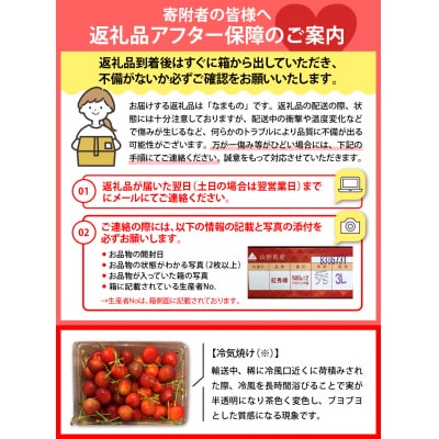 【令和8年産】さくらんぼ「佐藤錦」秀L以上1kgバラ詰 (500g×2パック)【JAさがえ西村山】 