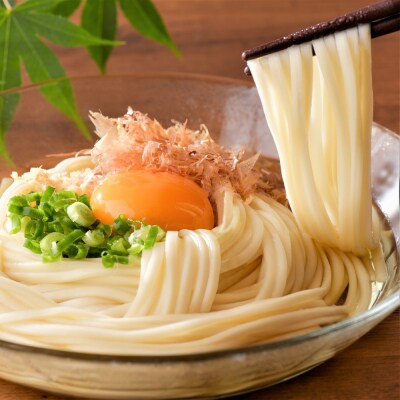 【6ヶ月定期便】老舗「今田製麺」の奴そばとうどん詰合せ(乾麺)48人前